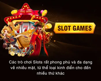 Chương trình VIP VB9